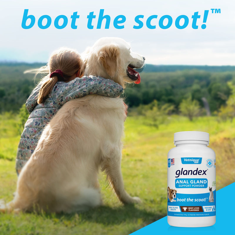 Glandex Dog Fiber Supplement Powder for Anal Glands with Pumpkin, Digestive Enzymes & Probiotics - Vet Recommended Healthy Bowels and Digestion - Boot The Scoot by Vetnique Labs (Beef Liver, 4.0 oz) - BeesActive Australia