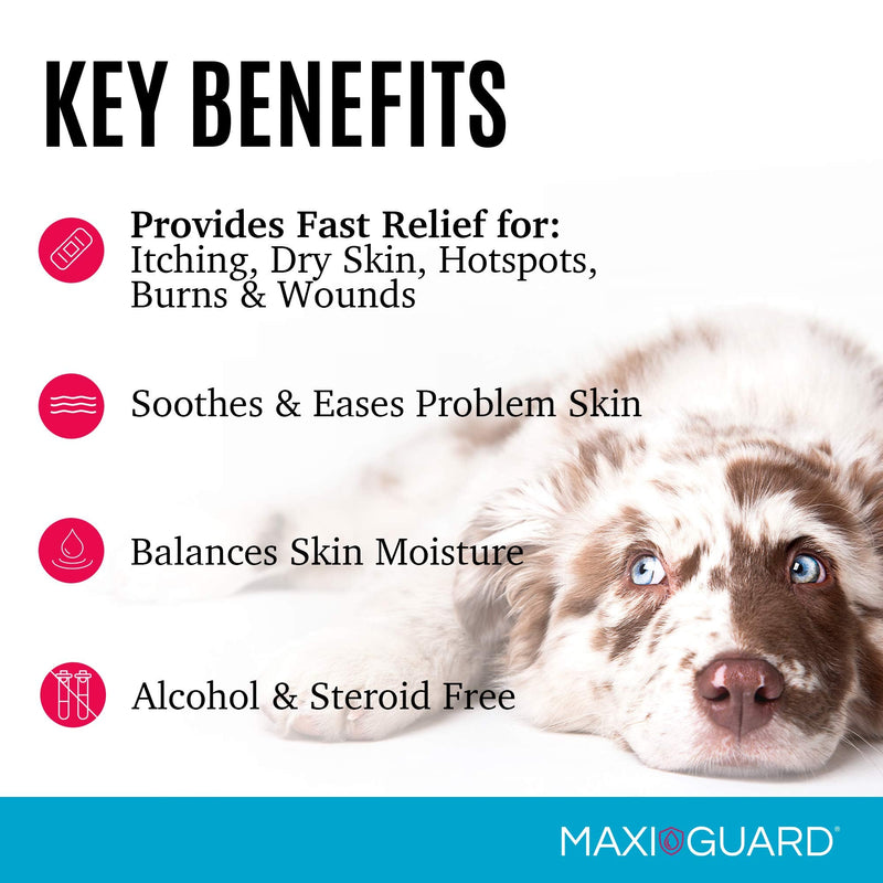 MAXIGUARD Pet Skin Care Gel Zn7 Derm with Neutralized Zinc for Dogs, Cats, Bovine, Exotics and Companion Animals 2oz - BeesActive Australia