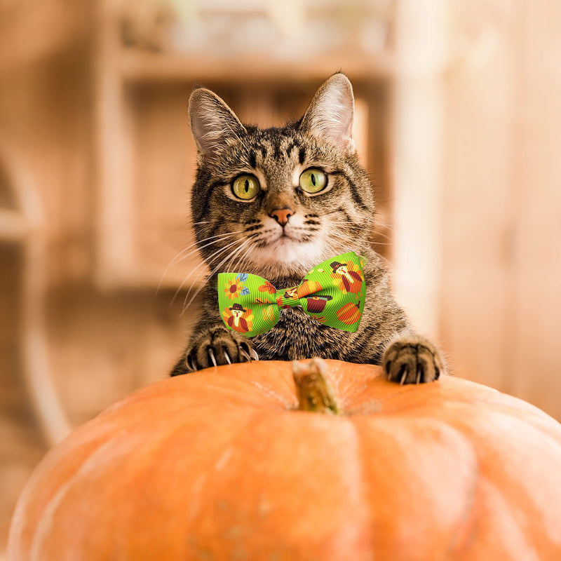 Pohshido 2 Pack Thanksgiving Cat Collar with Removable Bow Tie and Bell, Holiday Safety Breakaway Kitty Kitten Collar with Turkey and Pumpkin Spice Pattern(Adjustable Size from 7.8-12.8 inch) Pattern C - BeesActive Australia