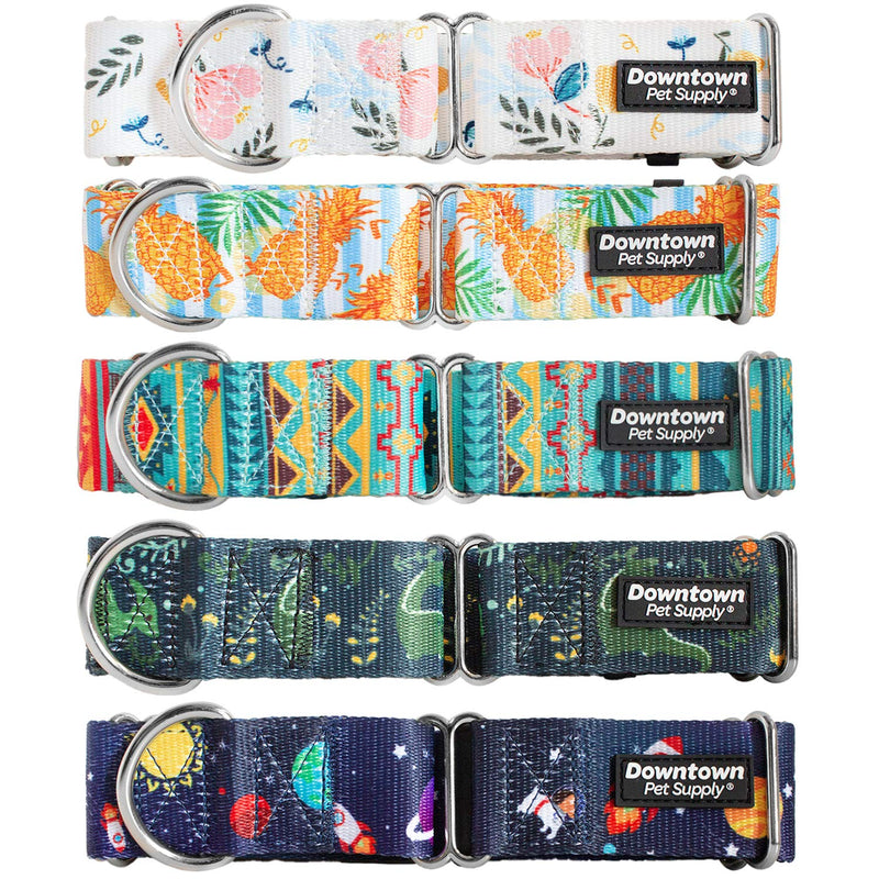 Downtown Pet Supply - Martingale Collar for Dogs - Dog Training Collar - Big, Wide & Thick Dog Collar - Escape-Proof, Weatherproof, Durable and Comfortable - Large: 14"-24.5" Floral - BeesActive Australia