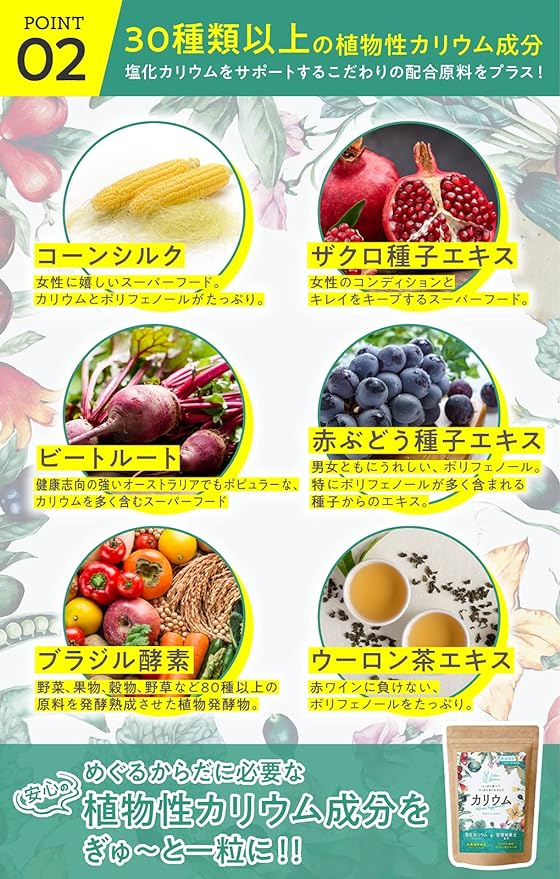 Potassium Supplement Potassium Chloride Industry's Highest Standard 1300mg Nutritional Function Food (Vitamin B₁B₂B₆) Made in Japan 270 tablets 30 days Nature Balance Brazilian Enzyme Oolong Tea Extract Powder - BeesActive Australia