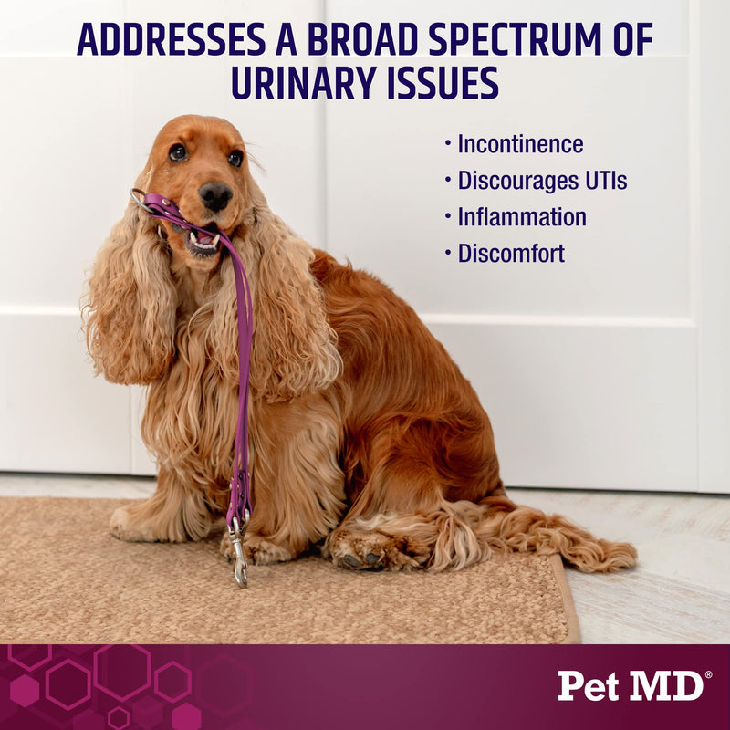 Pet MD Bladder Support Plus Cranberry for Dogs - Support Bladder Control & Urinary Tract Health - Help Relieve Dog UTI & Incontinence - Wild Yam Root & Cranberry Bladder Bites for Dogs - 60 ct - BeesActive Australia