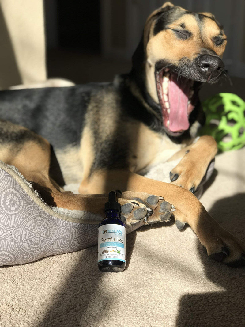 Hempseed, Chamomile & Valerian Oil for Cats & Dogs - RESTFUL PET - for Relaxation - Anxiety, Stress, Fireworks, Thunder, Separation - Natural Organic Calming Drops - All Breeds (2 fl oz) - BeesActive Australia