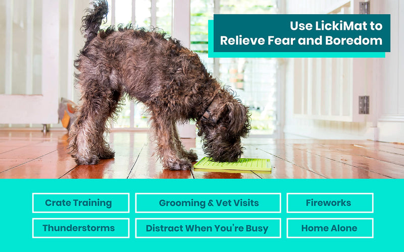 Lickimat Classic Dog Slow Feeders, Lick Mat, Boredom Anxiety Reduction; Perfect for Food, Treats, Yogurt, Peanut Butter. Fun Alternative to Slow Feed Dog Bowl! Green & Turquoise Soother & Buddy - BeesActive Australia