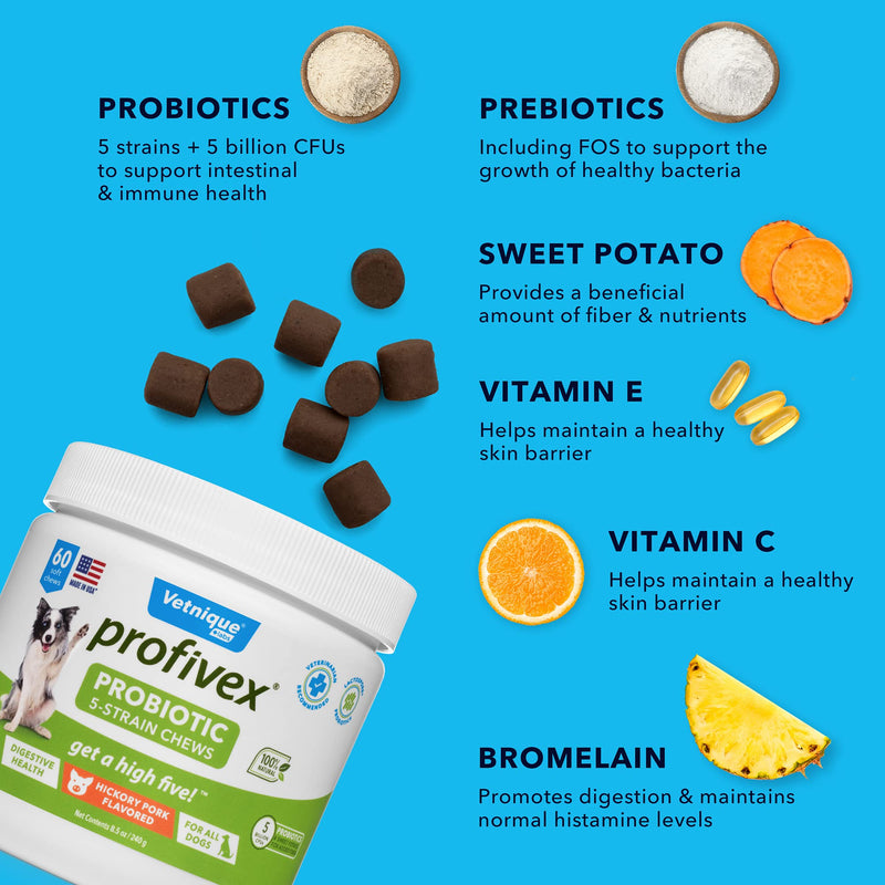 Profivex Probiotics for Dogs Soft Chews Daily Chewable Pet Digestive Treats All-Natural 5 Strain Dog Probiotics with Prebiotics & Added Fiber from Sweet Potato - by Vetnique Labs 60ct - BeesActive Australia
