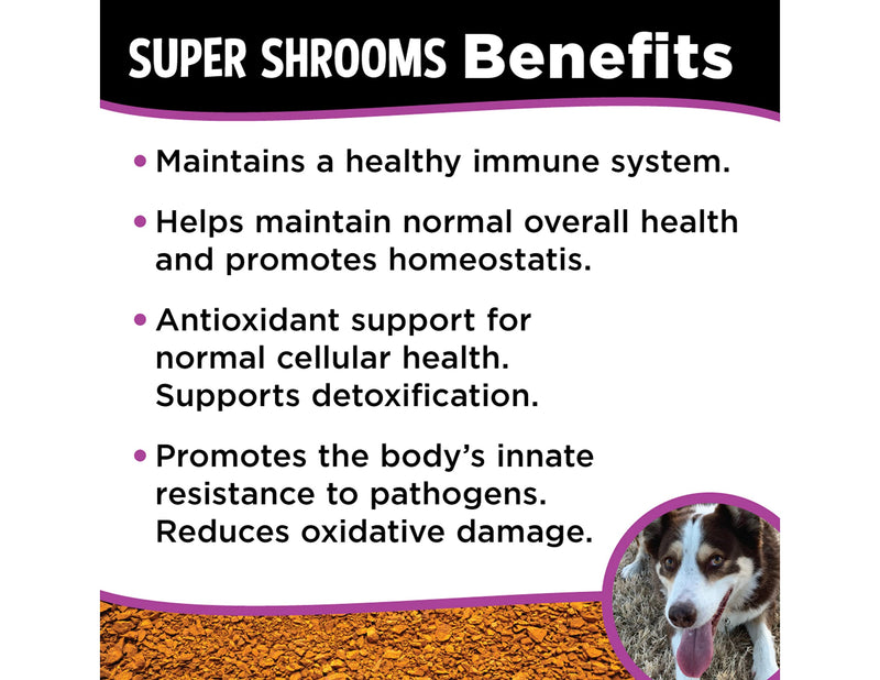 Super Snouts Super Shrooms Mushroom Immune Support for Dogs and Cats - Made in USA Organic Non-GMO, Immune Health 5.28 oz - BeesActive Australia