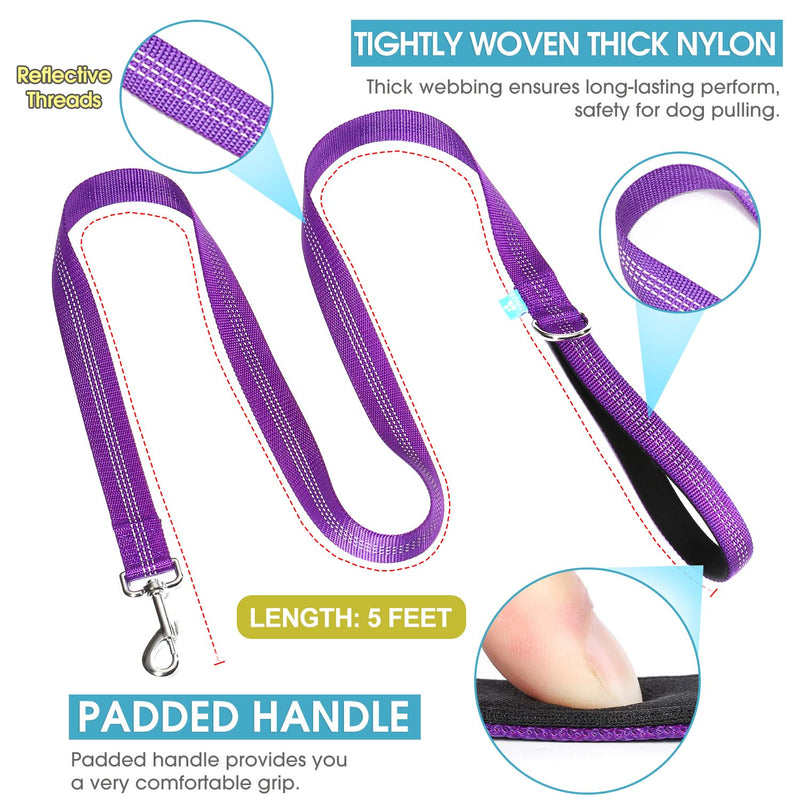 BAAPET 5 Feet Nylon Dog Leash with Triple Reflective Threads and Comfortable Padded Handle for Walking, Training Lead Small Puppy, Medium and Large Dogs Medium/Large (1.0'' x 5 FT) Purple - BeesActive Australia