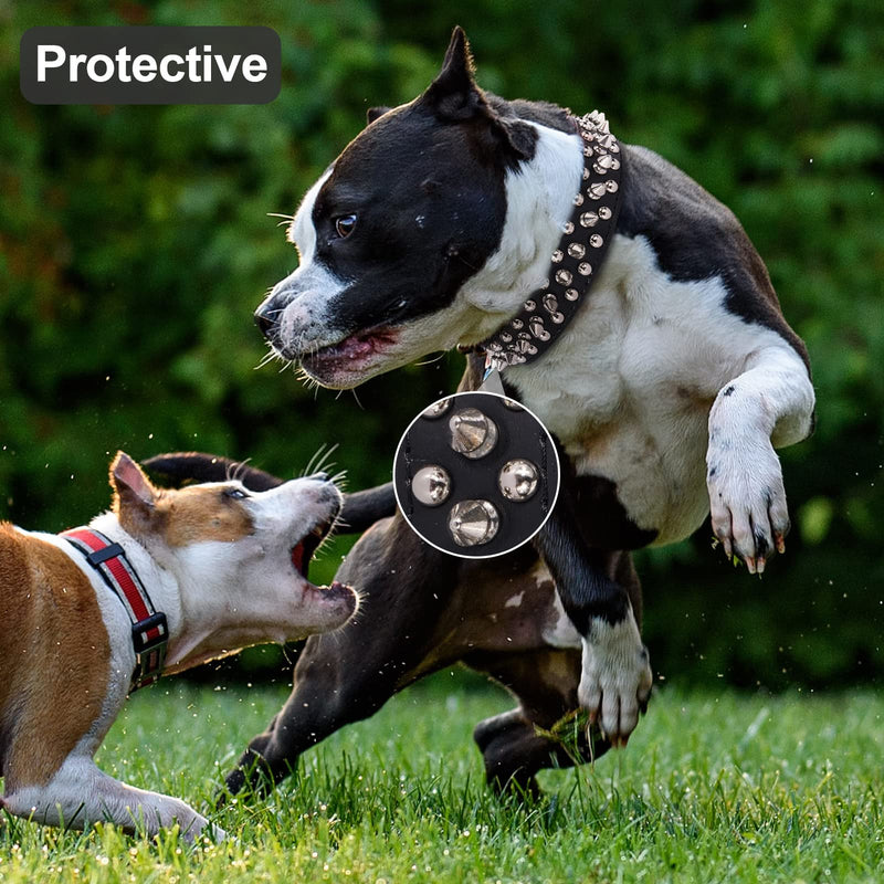Spiked Studded Leather Dog Collar with Leash, Epesiri Rivet PU Leather Dog Collars for Pit Bull, Durable Leather Cat Collar with Spiked Studded for Small Medium Large Breed Best Gift Pet Rivet Collar Black L=13.7"-16" - BeesActive Australia