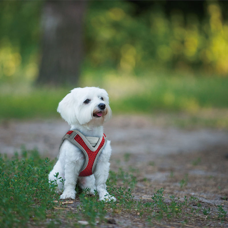 Kruz PET KZA308 Reflective V-Neck Step In Mesh Dog Harness - No Pull, Quick Fit, Comfortable, Velcro-Adjustable Pet Harnesses for Walking & Training - Small, Medium Dogs Gray - BeesActive Australia
