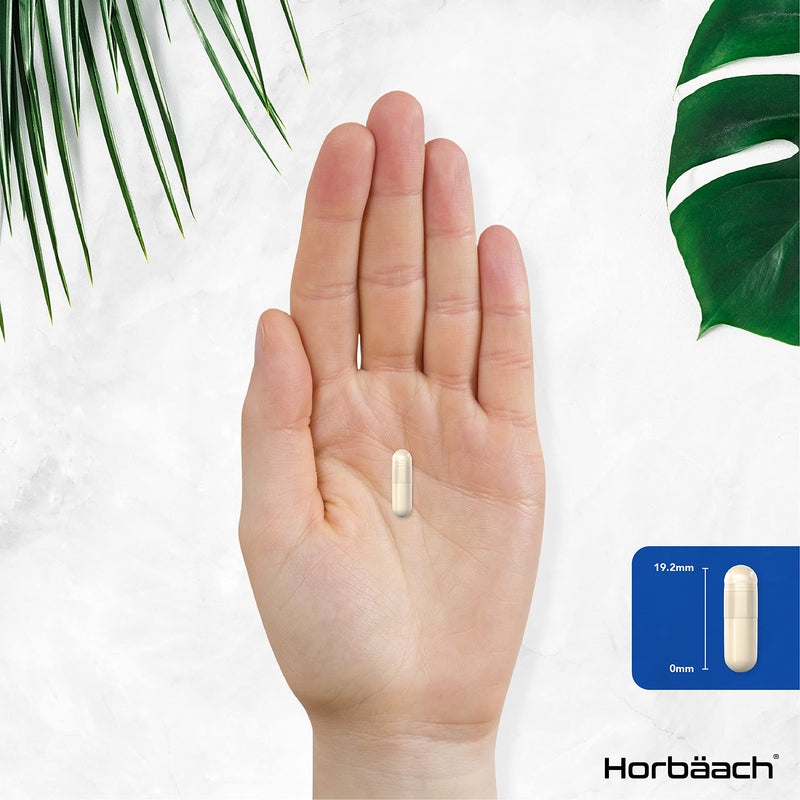 Lactase Enzyme 6,090 FCC Units| 180 Capsules| Improves Lactose Digestion | Food Supplement | by Horbaach - BeesActive Australia
