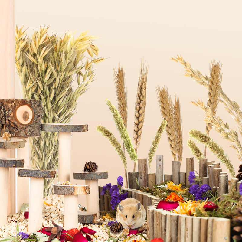 NICERINC PET Natural Herb Bedding Mate Habitat Decor, Adding Fun Hamster Accessories for Hamsters Gerbils Lemming Wheat - BeesActive Australia