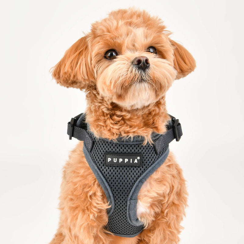 Puppia Dog Harness RiteFit Mesh Over-The-Head All Season No Pull No Choke Walking Training Comfortable Adjustable Neck & Chest for Small & Medium Dog Red - BeesActive Australia