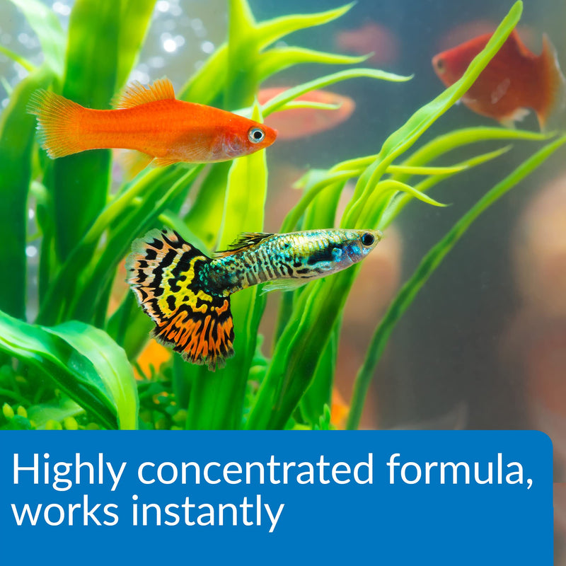 API Aqua Essential Water Conditioner, All-in-One Highly Concentrated Aquarium Formula, Instantly Removes Chlorines, Chloramines, Ammonia, Nitrites, Nitrates and Neutralizes Heavy Metal 16 OZ. - BeesActive Australia