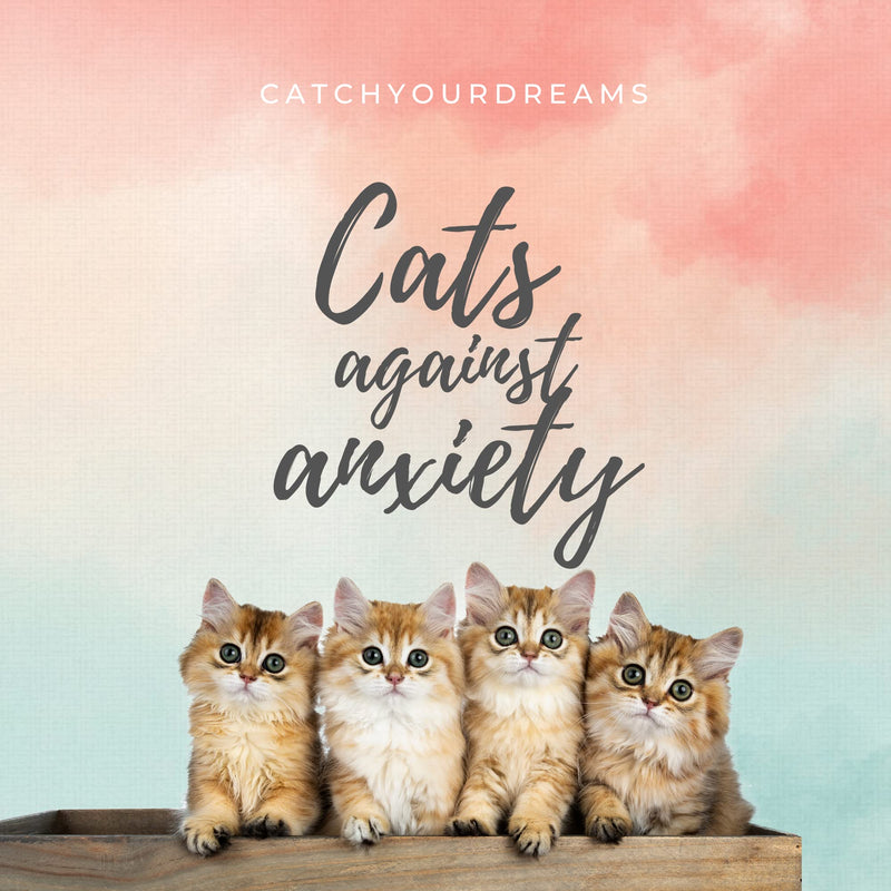 Cats Against Anxiety Cards - 50 Cards by Catchyourdreams For Self Esteem and Stress, Affirmations for Anxiety Emotions Oracle Tarot Self Therapy (Cats Against Anxiety) Cats Against Anxiety - BeesActive Australia