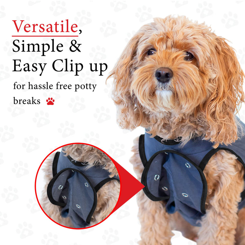 BellyGuard - After Surgery Dog Onesie, Recovery Suit for Dogs, Comfortable Substitute for Cone for Dogs After Surgery,Dog Recovery Suit with Stretch-Fit Cotton Material and Adjustable Rear Flap Medium Grey - BeesActive Australia