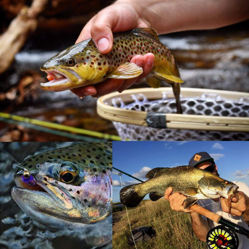 Maxcatch Fly Fishing Tapered Leader Line 6 Pack -Pre-Tied Loop- Tensile Strength- Abrasion Resistance- Low Memory 7.5ft/9ft/12ft/15ft, 0X-6X Pre-Tied Loop-Clear-Nylon-6 pc 9ft 5X(6pcs) - BeesActive Australia
