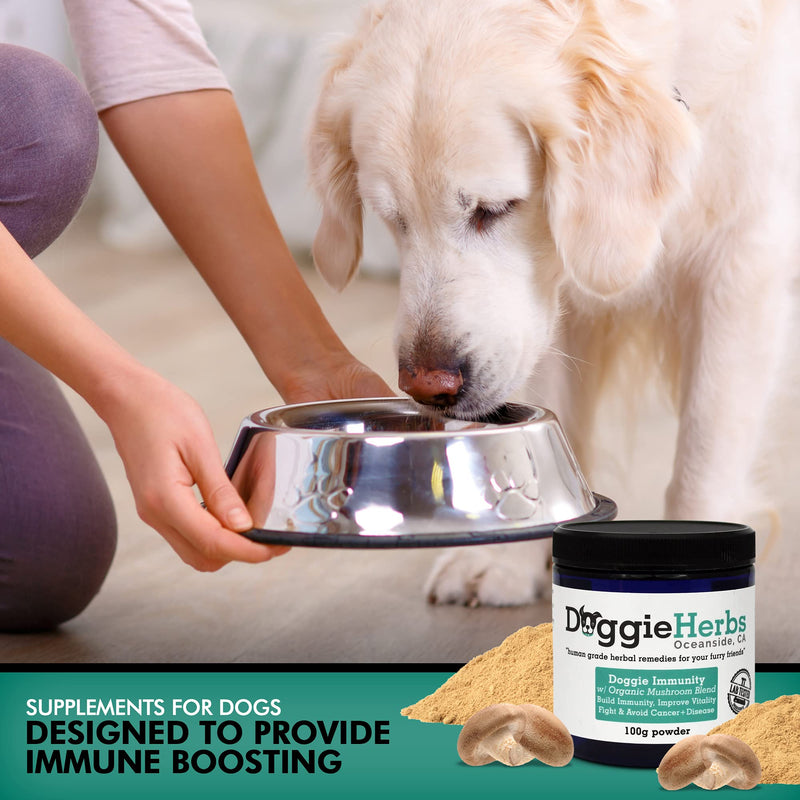 Doggie Herbs Immunity for Dogs Organic Mushrooms 22.3% Beta Glucan - Canine Health & Immunity Boost Dog Supplements - Herbal Powder w Dose Scoop -100g - BeesActive Australia