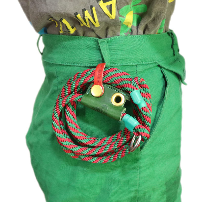 Slip Lead Dog Leash,Dog Harness and Leash Set for Walking - Head Collar with Rope Leash for Pulling - DIY Dog Scarf 6ft Dog Leash x 1/4in Thick Green Slider - BeesActive Australia