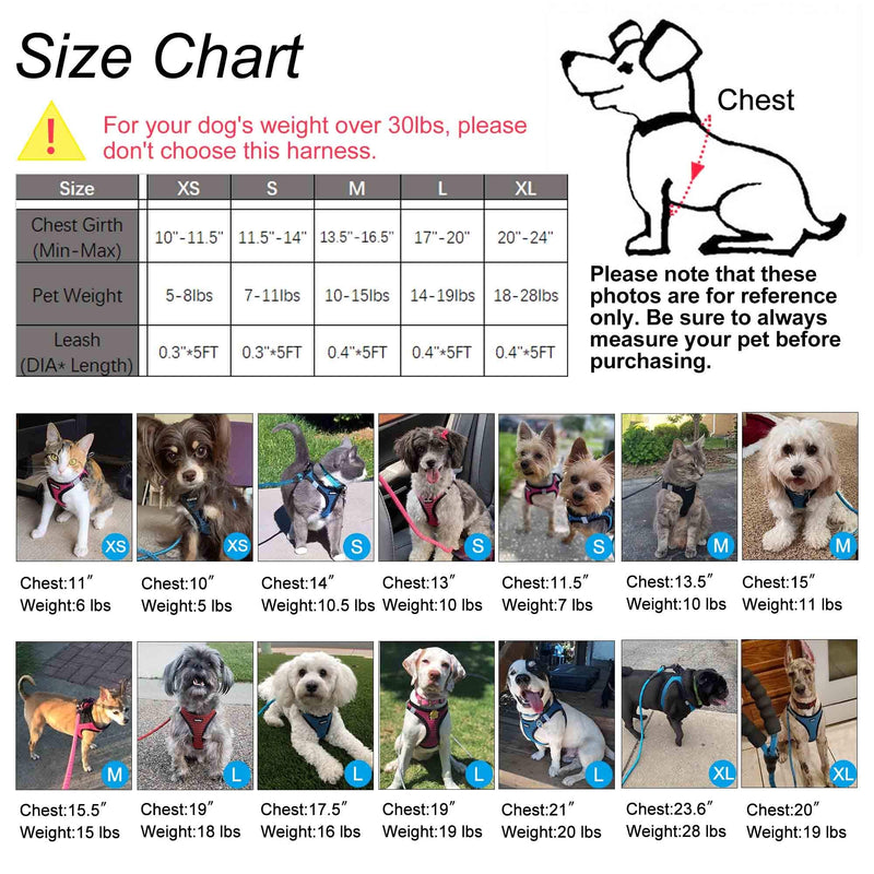 matilor Dog Harness Step-in Breathable Puppy Cat Dog Vest Harnesses for Small Medium Dogs M (Chest 13.5''-16.5'', Weight 10-15 lb) Blue - BeesActive Australia