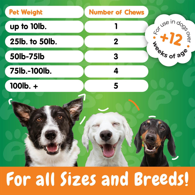 Inner Paw Probiotic Chews for Dogs – 120 Soft Chews Dog Vitamins and Supplements - Natural 2 Billion CFU Dog Digestive Enzymes -Delicious Chicken Flavor – Supports Gut and Immune Health - BeesActive Australia