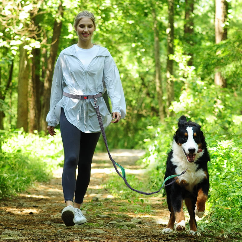 VIVAGLORY Hands Free Dog Leash with Dual Advanced Anti-Shock Bungees and Padded Handles, Reflective Waist Running Leash with Adjustable Belt for Training Jogging for Medium Large Dogs Fits waist 25½"~44" Grey/Turquoise - BeesActive Australia