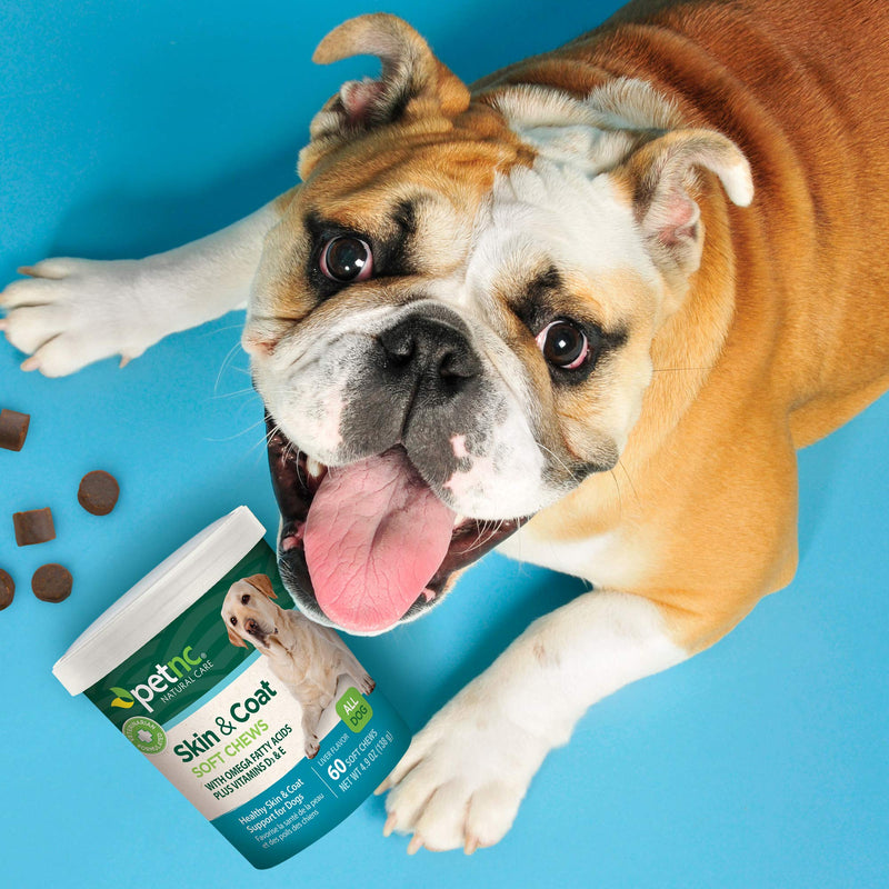 PetNC Natural Care Skin and Coat for Dogs Soft Chews - BeesActive Australia