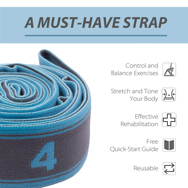 Exercise Resistance Band, High Elastic Resistant 9 Loops Yoga Stretching Strap, Ideal for Tone Muscles Dancer Gymnast Warm up Rehab Physical Therapy Recovery Flexibility Hamstring, Free Bag and Guide Blue - BeesActive Australia