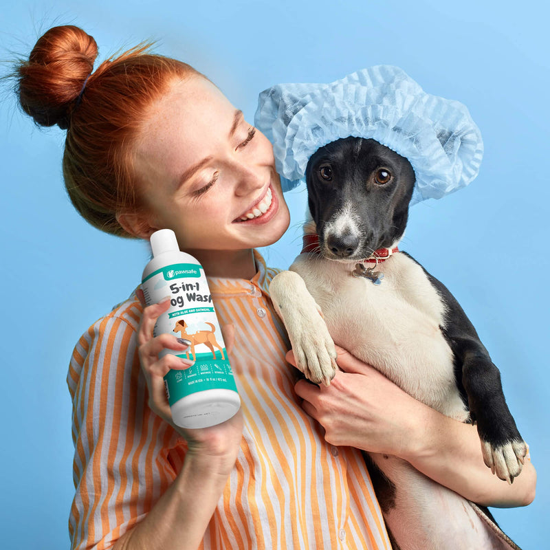 PawSafe Dog Shampoo and Conditioner - 5-in-1 Dog Wash with Moisturizing Aloe and Oatmeal for Dry, Sensitive and Itchy Skin. Helps with Shedding, Dandruff, Allergies and Odor Control - BeesActive Australia