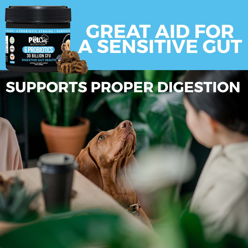 Natural Organic Prebiotic Probiotic Soft Treats for Dogs | Digestive Gut Health, Gas & Bloating, Constipation, Diarrhea & Upset Stomach | Premium Chewable Treats for Dog - All Ages & Sizes - 140 Ct Peanut Butter - BeesActive Australia