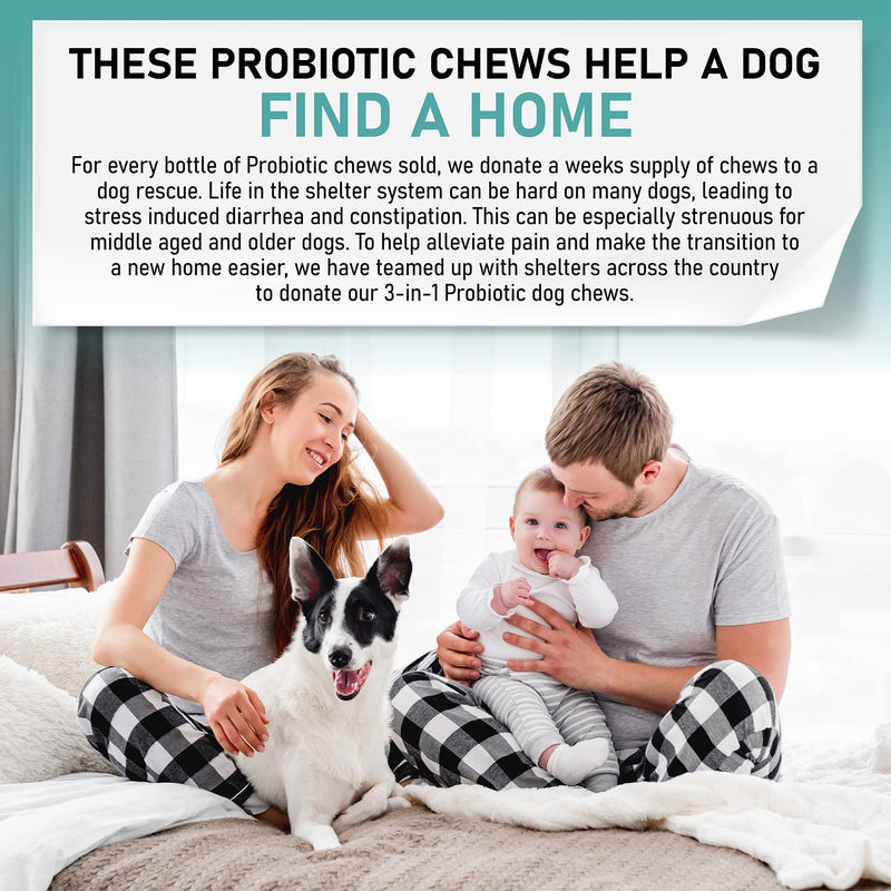 Probiotic Chews for Dogs with Pre and Probiotics - Advanced Dog Probiotics and Digestive Enzymes, Diarrhea Treatment, Itchy Skin, Upset Stomach, coprophagia, UTI's, Dog Allergy - BeesActive Australia