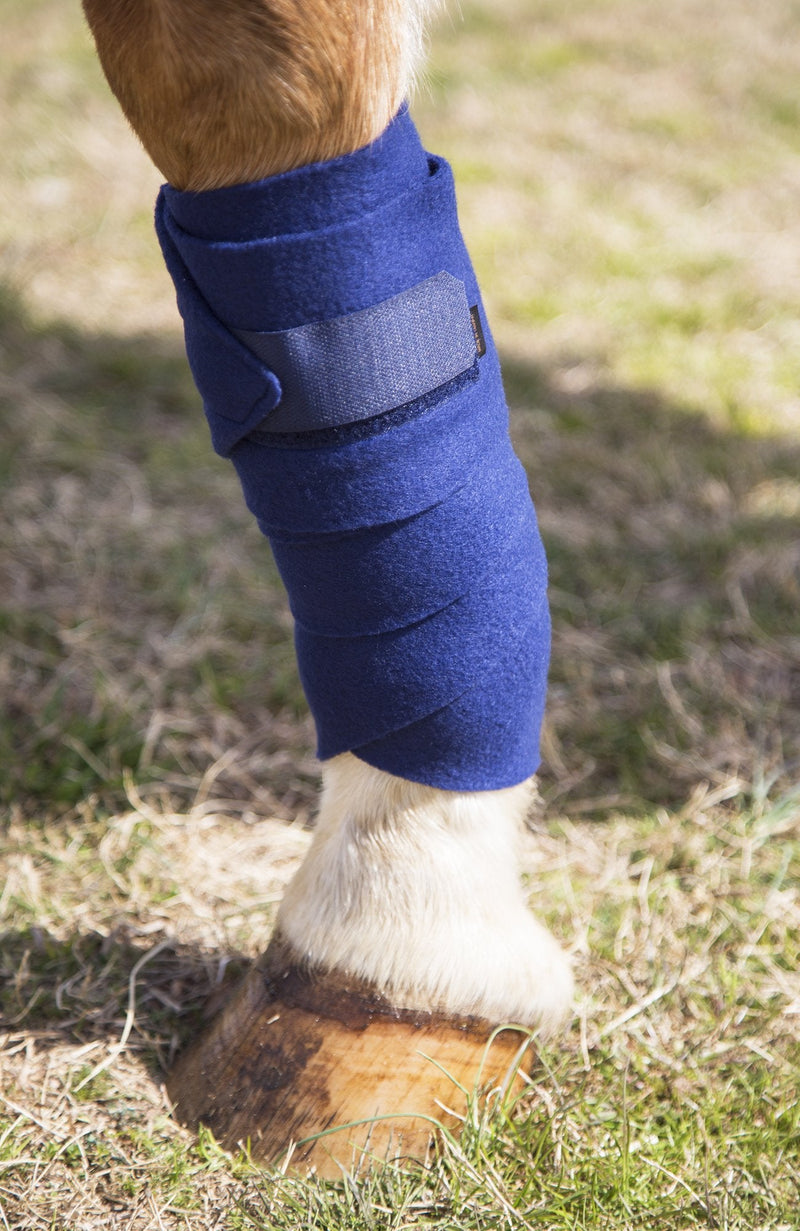 Intrepid International Polo Wraps – Full Set of 4 Wraps Hunter Green - BeesActive Australia