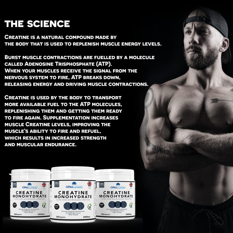 Creatine Monohydrate Tablets by Opal Fitness – Easy to Swallow Vegan Tablets - Scientifically Proven to Increase Muscle Strength, High Intensity Explosive Energy, and Build Lean Muscle Mass - BeesActive Australia