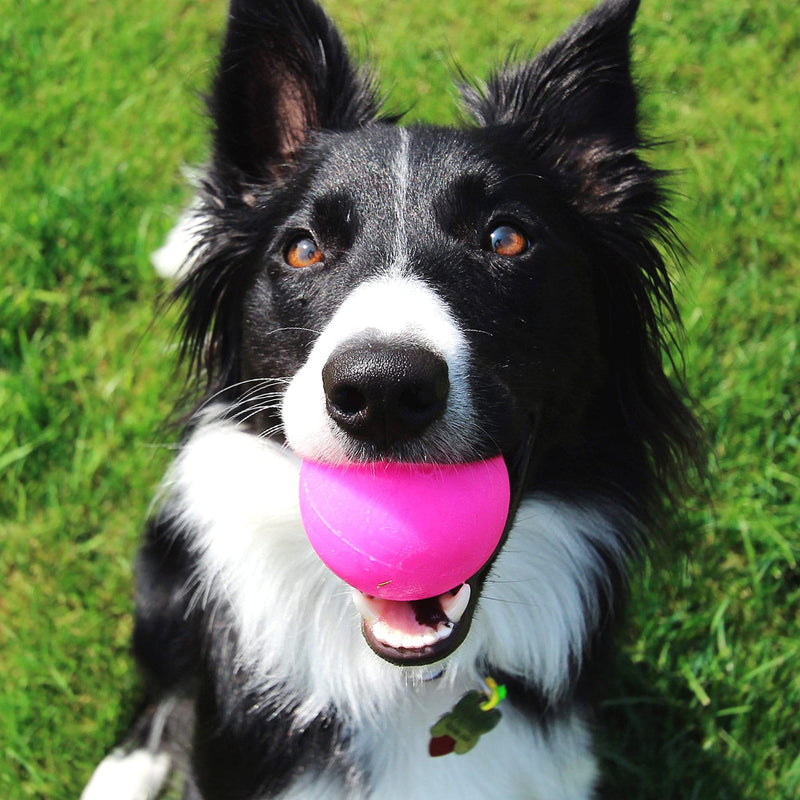 Ruff Dawg Ball Dog Toy Regular - BeesActive Australia