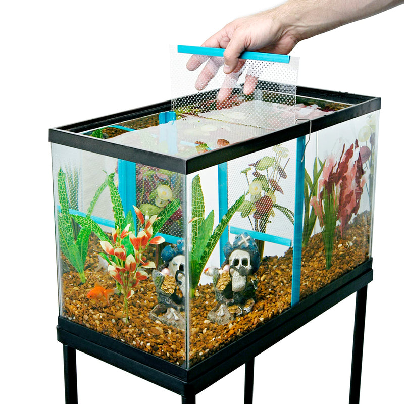 Penn-Plax Tank Divider Clear, Blue 11.37 in x 9.62 in Medium - PDS-030172014109 - BeesActive Australia