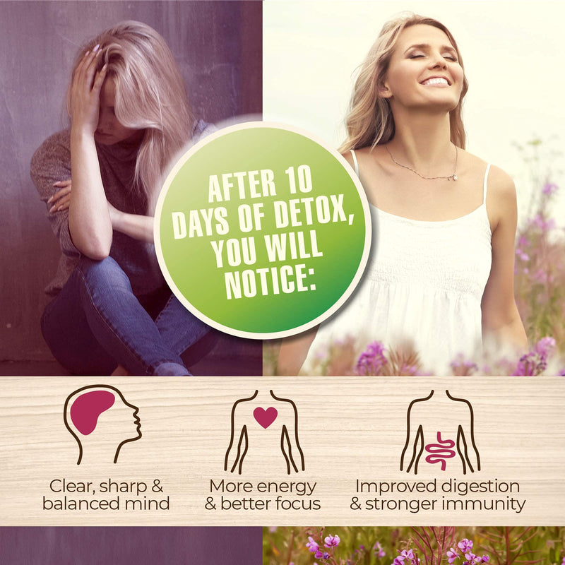 Detox Organic Smoothie Powder with Healthy Spirulina, Atlantic Dulse and Barley Grass Juice Powder, Premium Quality superfood from Europe - BeesActive Australia