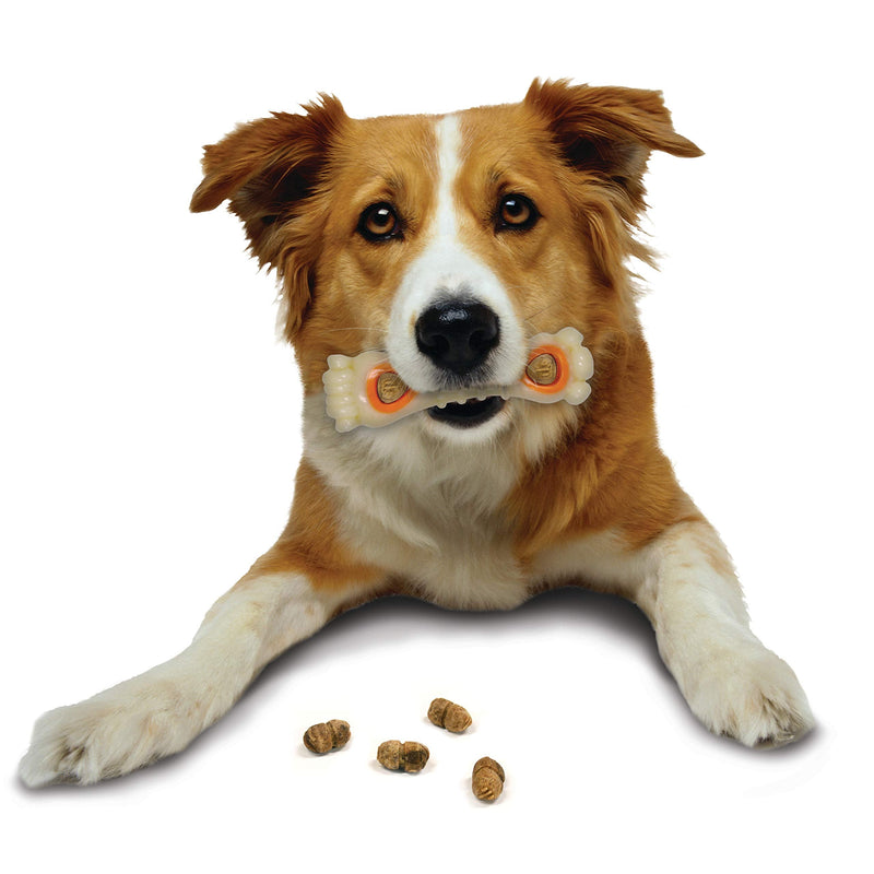 Nylabone Power Chew Knuckle Bone & Pop-in Treats Treat Refill Chicken 1 Count (Pack of 30) - BeesActive Australia