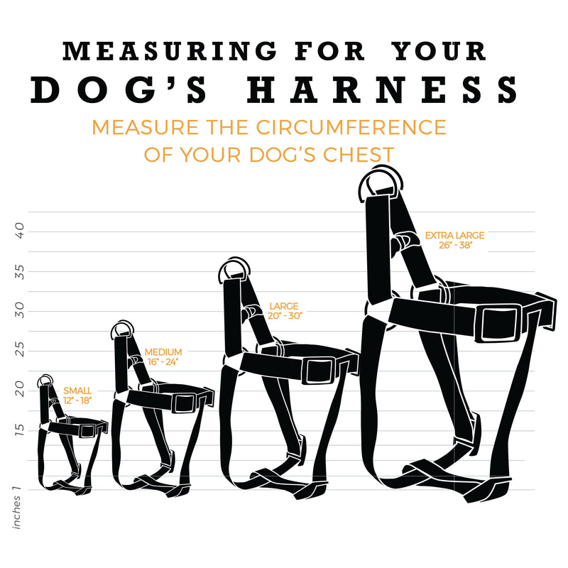 Wolfgang Man & Beast Premium No-Pull Dog Harness for Small Medium Large Dogs, Made in USA Medium (5/8 Inch x 16-24 Inch) DayDream Print - BeesActive Australia