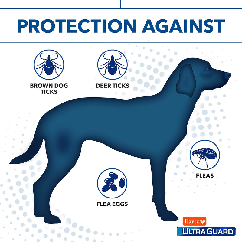 Hartz UltraGuard Dual Action Flea & Tick Topical Dog Treatment and Flea and Tick Prevention, 6 Months, 60+ Pound Dogs - BeesActive Australia