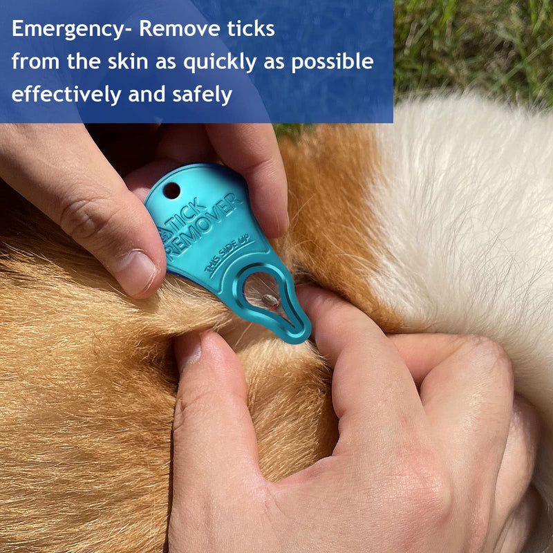JOTOVO 3 Pack Tick Remover Tool Portable, Tick Removal for Pet and Humans, Safe and Reliable, Pain-Free, Essential Tools for Outdoor Activities - BeesActive Australia
