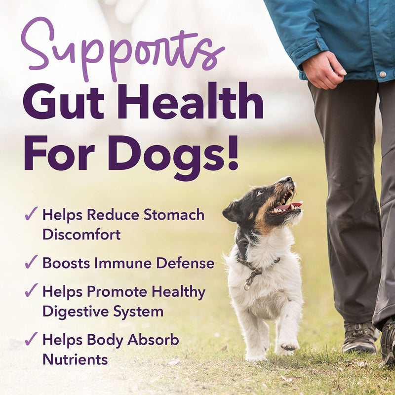iHeartDogs 3-in-1 Probiotic for Dogs with Pumpkin for Improved Digestion & Gut Health - Dog Probiotics and Digestive Enzymes, 90 Count - BeesActive Australia
