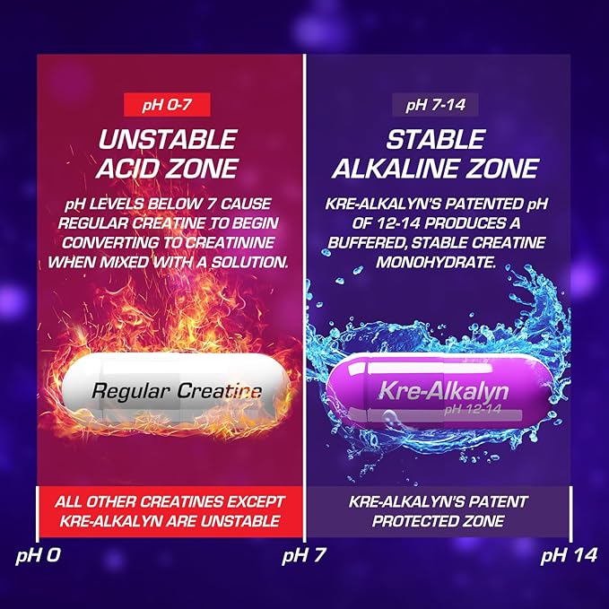 [Value Size] Crealkaline EFX (High Purity Creatine) 240 Tablets [Directly Delivered Overseas] (240 Tablets) - BeesActive Australia
