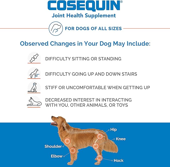 Nutramax Cosequin DS PLUS MSM Joint Health Supplement for Dogs of All Sizes - 132 Chewable Tablets - BeesActive Australia