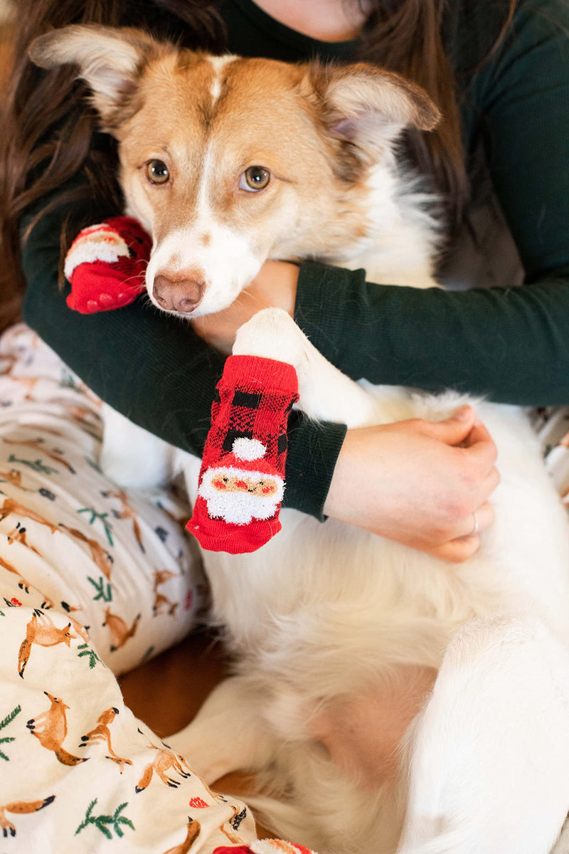 Pearhead Human And Dog Christmas Socks, Matching Pet Owner And Pet Apparel, Novelty Holiday Santa Claus Socks, Unisex One Size Fun Socks, Pet Lover Gifts, Christmas Stocking Stuffer Santa Human and Dog Sock Set - BeesActive Australia