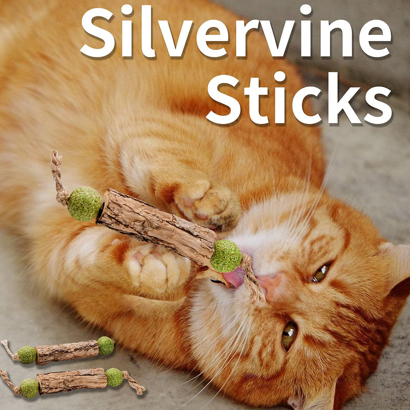 MiMiMoMo Catnip Toys for Cats Silvervine Sticks for Cats Interactive Cat Toys for Indoor Cats,Cat Kitten Teething Chew Toys for Aggressive Chewers,Suitable for All Cats,3Packs - BeesActive Australia