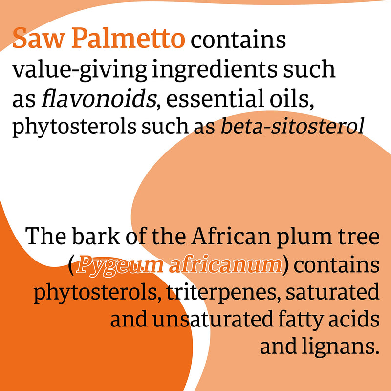 Now Foods, Pygeum & Saw Palmetto, 120 Softgels, Lab-Tested, Pumpkin Seed Oil, Saw Palmetto, Gluten Free, Soy Free - BeesActive Australia