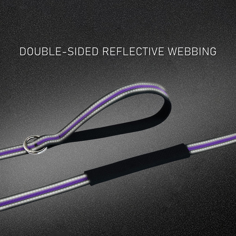 DAIHAQIKO Reflective Dog Leash, Double Handle Dog Leash, Slip Lead Dog Leash,4FT/6FT Nylon Dogs Leashes for Small DGS, Medium Dogs, Large Dogs Blue - BeesActive Australia