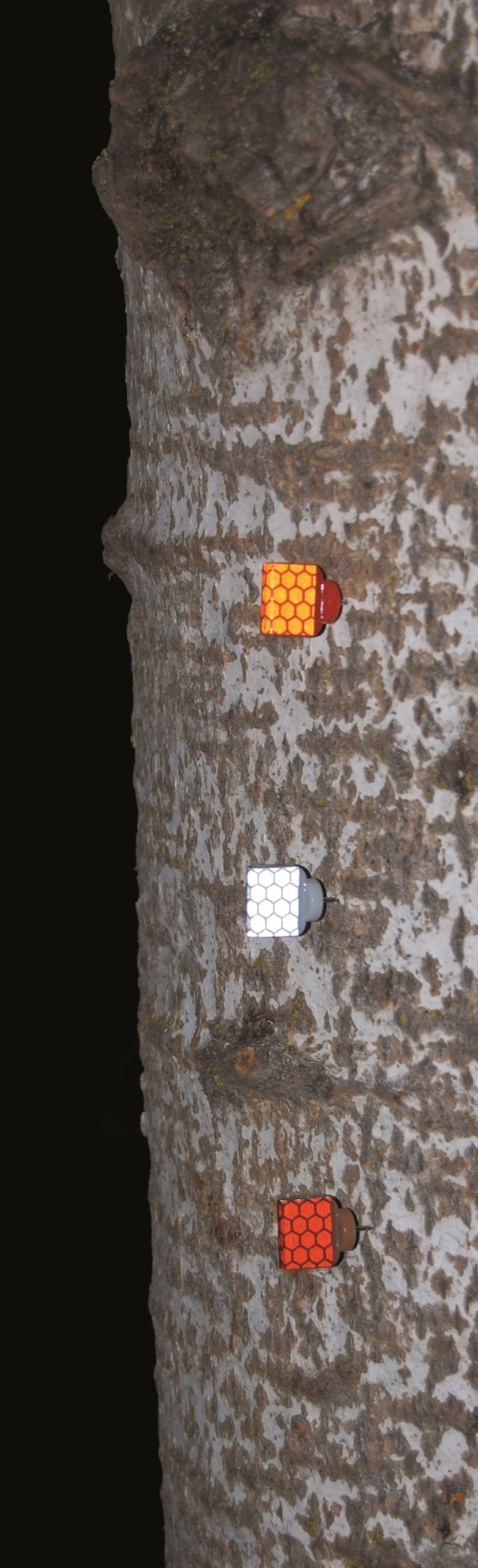 HME Products Reflective Wing Tack (25 Pack)- White - BeesActive Australia