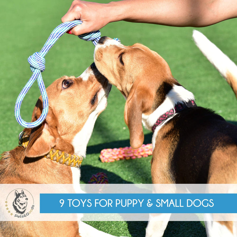 Dog Toys - Puppy Chew Toys - Rope Toys for Small Dogs - Safe Puppy Teething Toys - Small Dog Chew Toys Set - Teething Puppy Toys - Dog Rope Toys - Dog Toys Pack of 9 - Washable Cotton Rope Dog Toy - BeesActive Australia