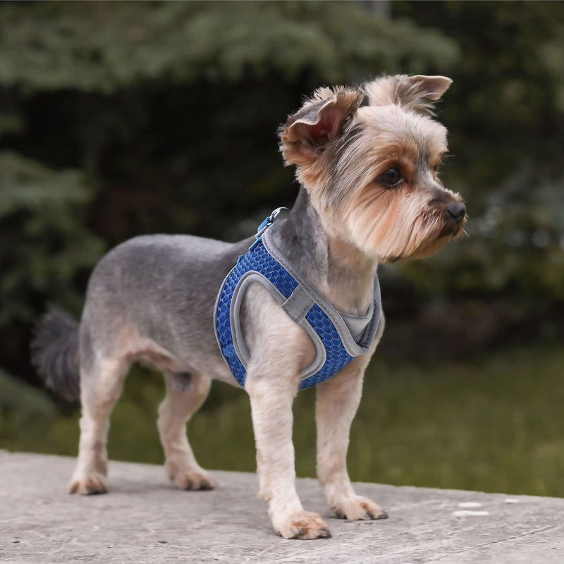 Kruz PET KZA308 Reflective V-Neck Step In Mesh Dog Harness - No Pull, Quick Fit, Comfortable, Velcro-Adjustable Pet Harnesses for Walking & Training - Small, Medium Dogs Gray - BeesActive Australia