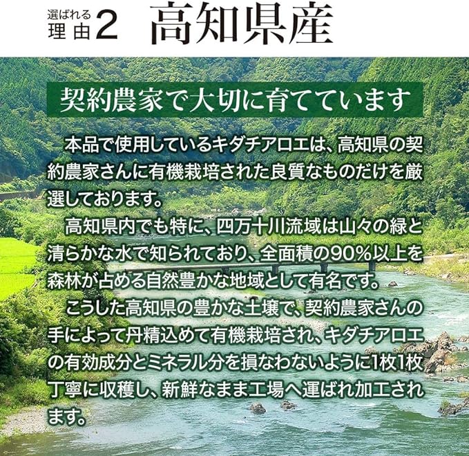 Yuuki Pharmaceutical Organic Kidachialoe Grains 100% 24-30 Day Supply 120 Tablets Supplements Made in Kochi Prefecture - BeesActive Australia